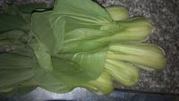 肉炒油菜