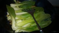 肉炒油菜