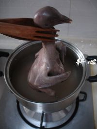 桂圆枸杞鸽子汤