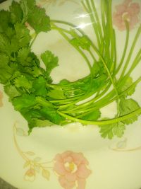 香蒜填茄
