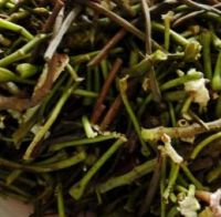 拌菱角根茎