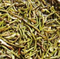 拌菱角根茎