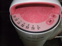 花生红枣豆桨
