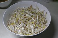 油豆泡炒豆芽