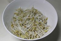 油豆泡炒豆芽