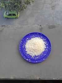 南瓜饼