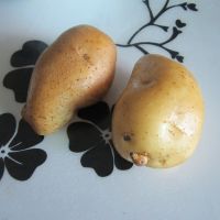 蚝油土豆片