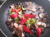 大葱木耳炒肉