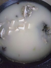 鱼头豆腐汤