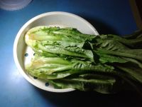 炝炒油麦菜