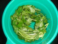 酸菜鱼