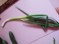 家常大拌菜