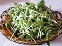 豆腐豆苗蛋花汤