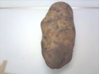 土豆丝煮肉片鸡丁
