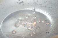 酱烧冬瓜