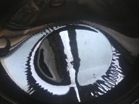 奶白鲫鱼汤
