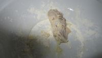 蒜香炸鸡翅