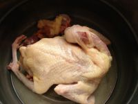 党参当归炖乳鸽