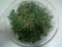 凉拌马蹄菜