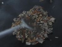 炒鸡杂