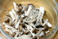 茶树菇煲老母鸡汤