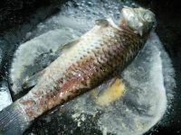 粟米淮山鲫鱼汤