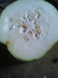 素炒冬瓜