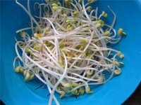 豆芽炒鸡杂