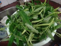 腐乳炒通菜