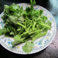 羊肉萝卜干锅