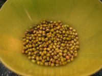 莲子绿豆粥