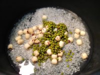 莲子绿豆粥