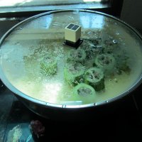 黄瓜肉筒