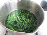 菠菜汁香菇猪肉饺子