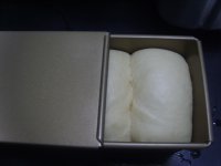 奶香吐司