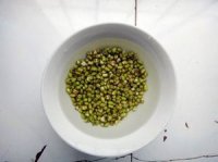 粽子绿豆粥