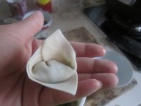猪肉大葱馄饨