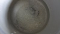 猪肝山药红枣粥