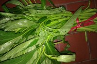 炒空心菜