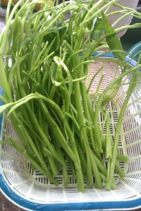 炒空心菜