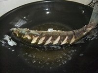 番茄扒尖头鱼