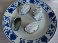 鲍鱼粉丝