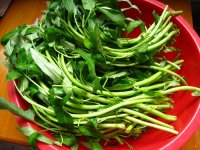 豆豉空心菜