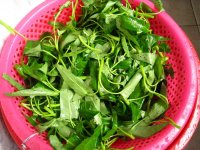豆豉空心菜