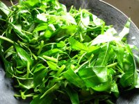 豆豉空心菜
