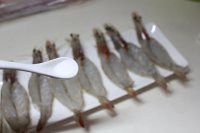 黑椒芝士虾