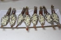 黑椒芝士虾