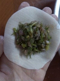 茴香饺子