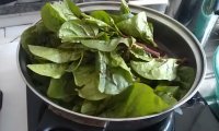 红苋菜瘦肉汤