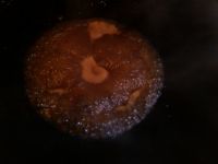 酱爆里脊肉